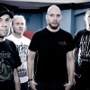 Rotten Sound